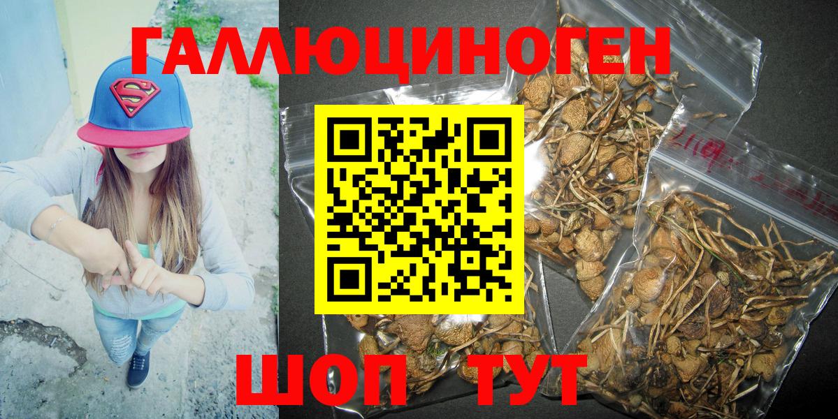 Галлюциногенные грибы MAGIC MUSHROOMS  Галлюциногенные грибы MAGIC MUSHROOMS  купить наркотики цена  Урус-Мартан  Вход с VPN 